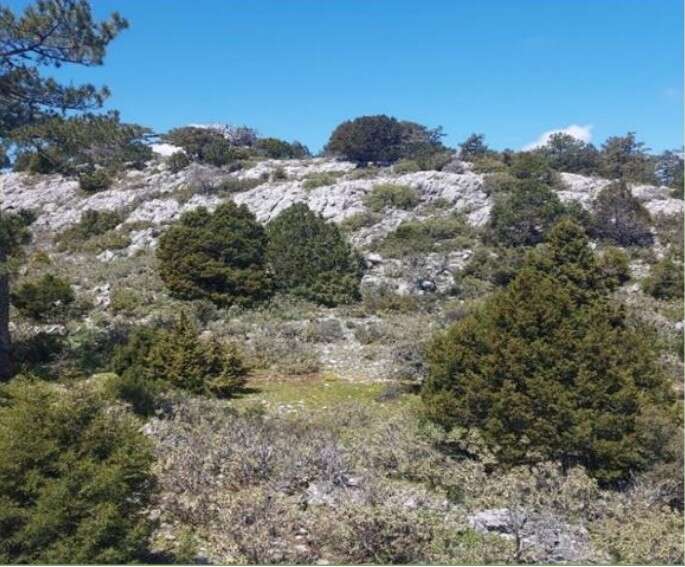 Muğla’da 781,2 Milyon TL’lik Gaia RES Projesi: 20 Türbin ve 84 MWm Kurulu Güç 8